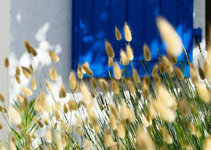 Hébergement de vacances Maison Vendéenne Familiale