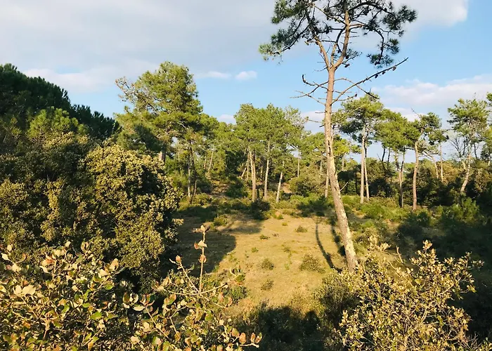 Maison Vendéenne Familiale Hébergement de vacances
